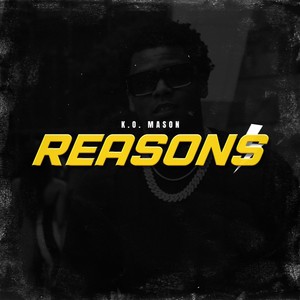 Reasons (Explicit)