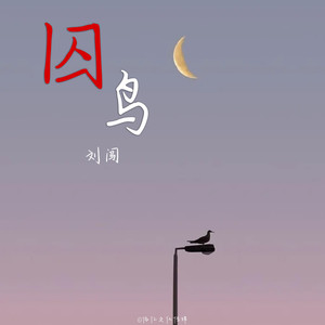 囚鸟 (0.9x版片段)