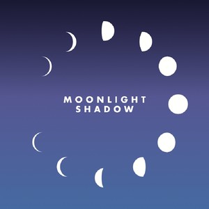 Moonlight shadow (Radio Edit)