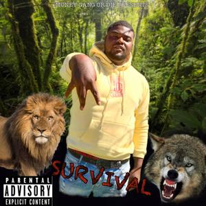 Survival (Explicit)