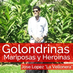 Golondrinas, Mariposas y Heroínas