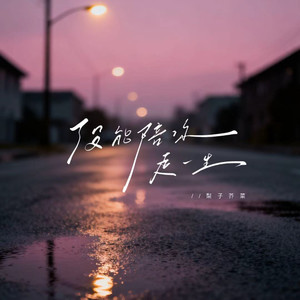 没能陪你走一生