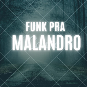 Funk pra Malandro