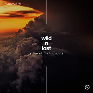 Wild N Lost