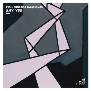 Say Yes (Animal Trainer Remix)