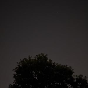 77Apollo77 - trials and tribulations of being in our mind (Explicit)