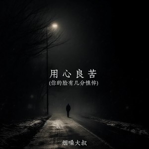 用心良苦(你的脸有几分憔悴)