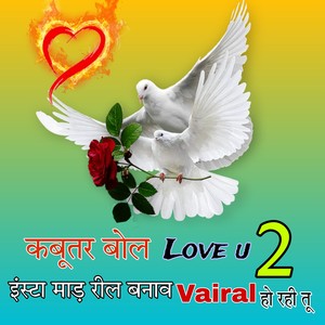 Narendra Bichhidona - Kabutar Bol Love U 2 Insta Mad Reel Bnav Vairal Ho Rahi Tu