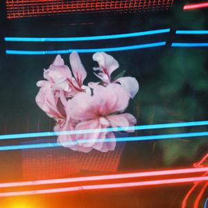 Beauty(feat. Horace Bray)