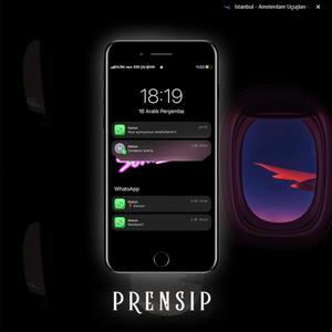 Prensip (feat. Ege Çalışkan) [Explicit]