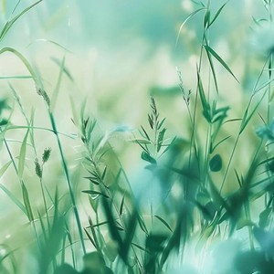 我不想忘记你 (R&B)封面
