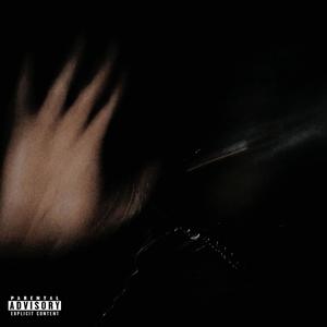 FYNNSHTT! (feat. blvckhammerbeast & Freaky Lee) (Explicit)