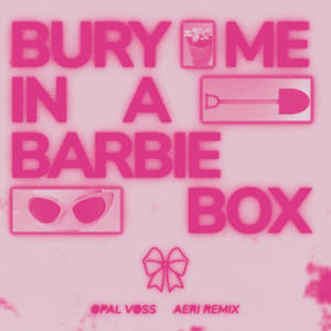 Bury Me In a Barbie Box (Aeri Remix)