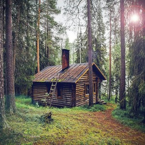 숲속 오두막(힐링)