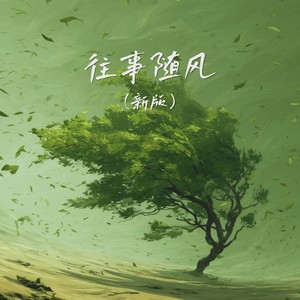 大头针 Official - 往事随风 (新版)