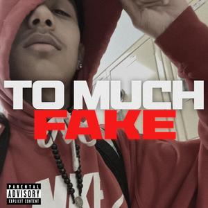 To much Fake (Explicit)