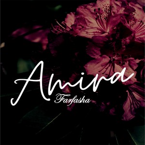 Amira