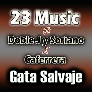 Gata salvaje