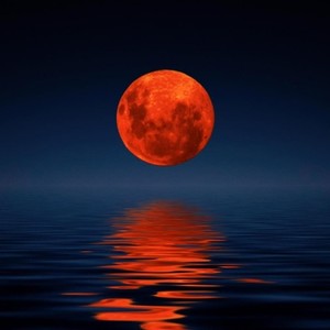 别让我走1.0（prod by T.X)