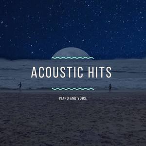 Acoustic Hits Vol. 2