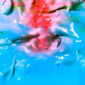 lol <4 lmao (Explicit)