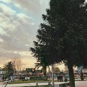 Te vi y escribí (Explicit)