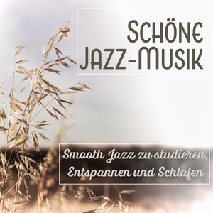 Schöne Jazz-Musik: Smooth Jazz zu studieren, Entspannen und Schlafen