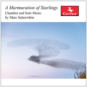 A Murmuration of Starlings - A Murmuration of Starlings: IV. A Murmuration of Starlings