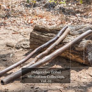 Didgeridoo Bass Effect (Tribal Meditation In Australia) (Original Mix)