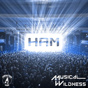 HAM (Original Mix)