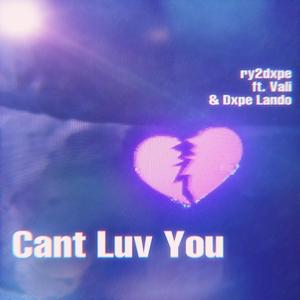 Can't Luv You(feat. Vali & Dxpe Lando) (Explicit)