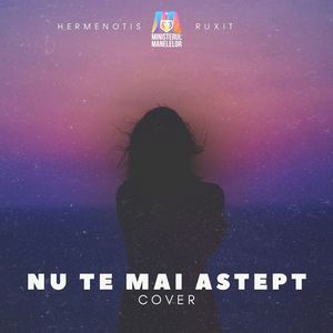 Nu te mai aștept (Cover)