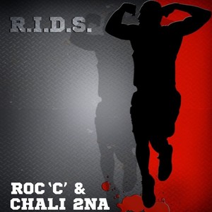 R.I.D.S. (Riot In Da Stands)