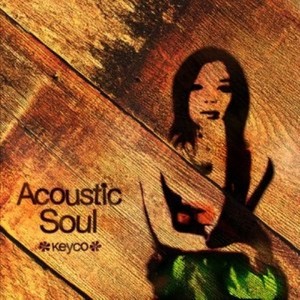 ACOUSTIC SOUL