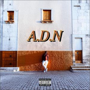 IN YOUR TOWN (feat. Young K1ng) (Explicit)