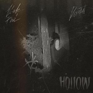 Hollow (feat. Drisket) (Explicit)