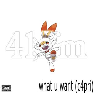 what you want (4KFM) (Explicit)