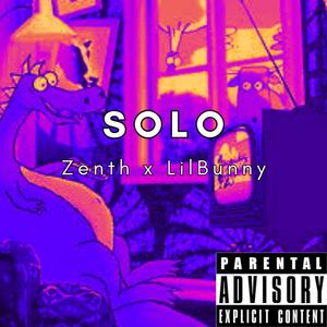 Solo (feat. lilbunny) (Explicit)