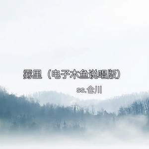 雾里 (电子木鱼说唱版)