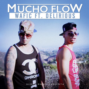 Mucho Flow (Explicit)