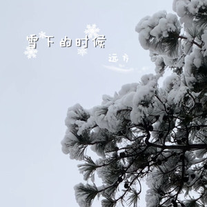 心动贩卖机