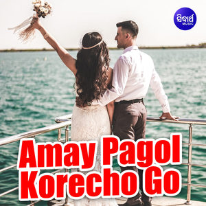 Amay Pagol Korecho Go