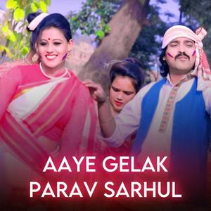 AAYE GELAK PARAV SARHUL (NAGPURI SONG)