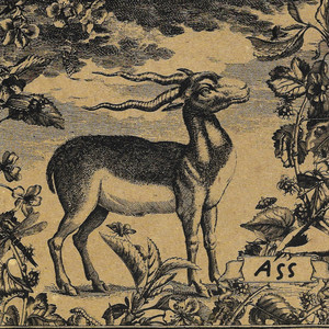 Guidelines for Bespoke