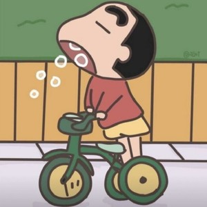 山楂树の恋