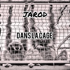 DANS LA CAGE (feat. Himra) [Explicit]