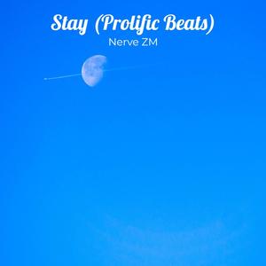 Stay(Prolific Beats)