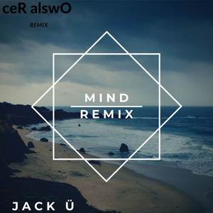 Mind (ceR alswO Remix)