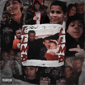 LLMB (Explicit)