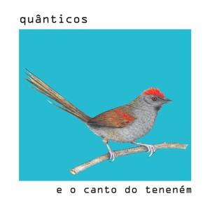 Quânticos e o Canto do Teneném